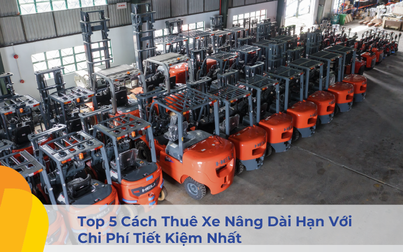 Top 5 Cách Thuê Xe Nâng Dài Hạn Với Chi Phí Tiết Kiệm Nhất