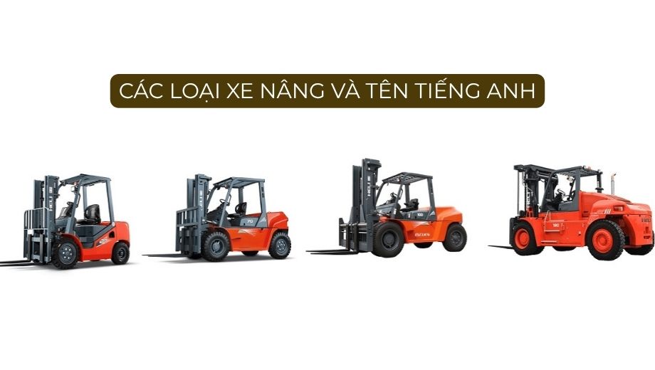 Các loại xe nâng và tên tiếng anh tương ứng